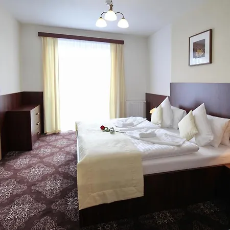 Hotel Diana Františkovy Lázně