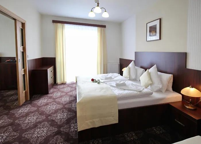 Hotel Diana Františkovy Lázně